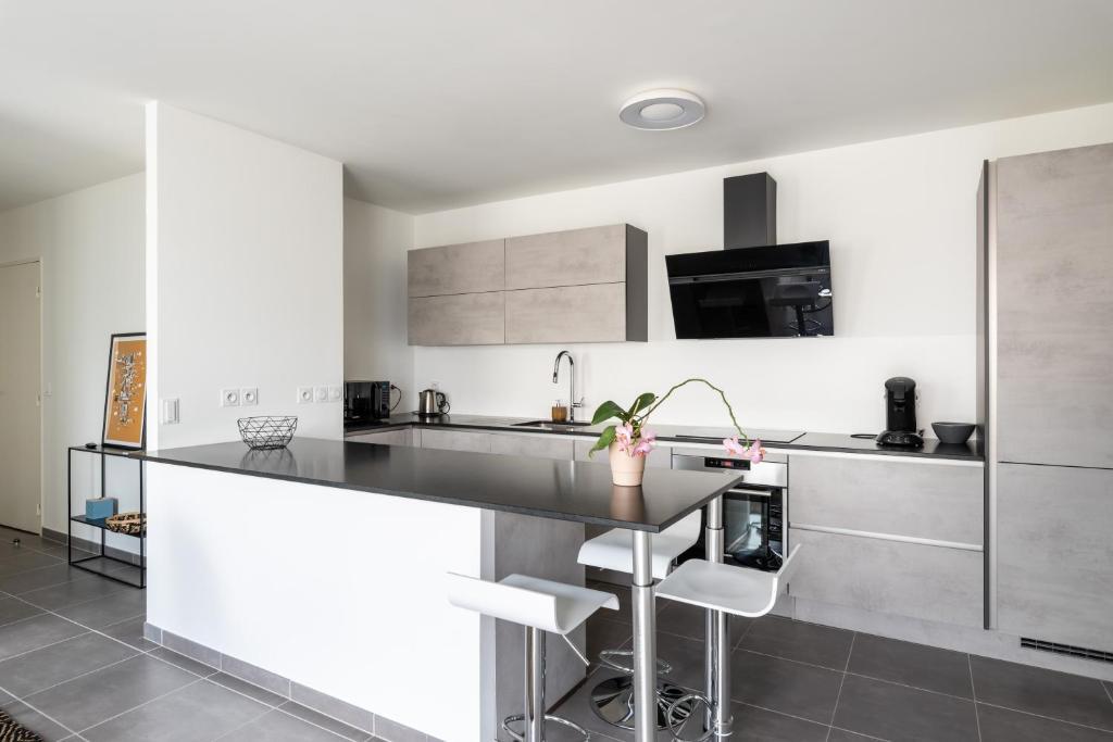 Appartement De Standing Avec Grande Terrasse Villeurbanne Kültér fotó